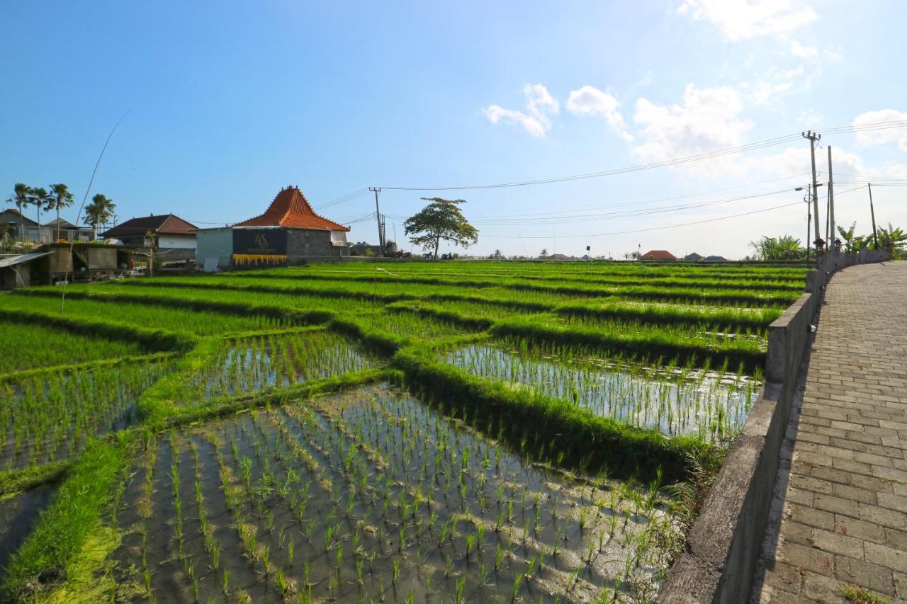 Pererenan Nengah Guest House Canggu Buitenkant foto